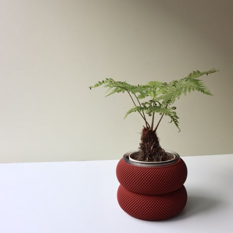 "Sheyn." Dorn 253g 1c Planter - Ruby Red  -