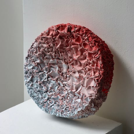" Ryota Akiyama " Crack and Shrink