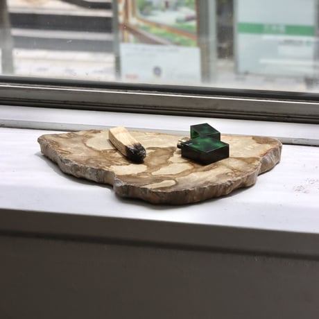 " OAK ” Petrified Wood Plate - S