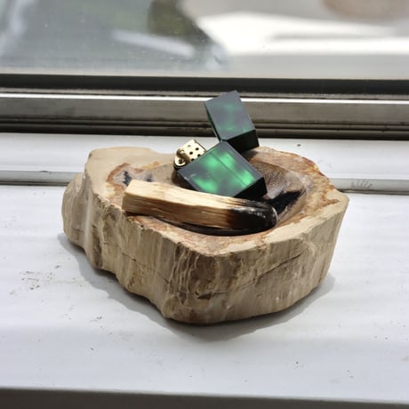 " OAK ” Petrified Wood Accessory Tray - S #442