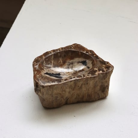 " OAK ” Petrified Wood Accessory Tray - S #439
