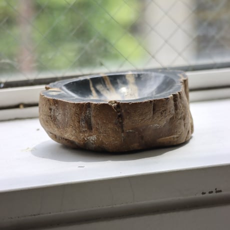 " OAK ” Petrified Wood Accessory Tray - S #430