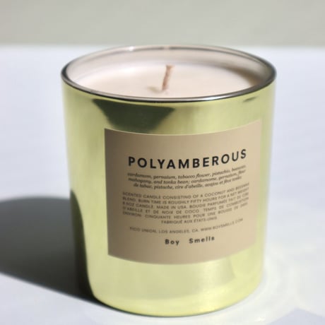 "Boy Smells"   POLYAMBEROUS