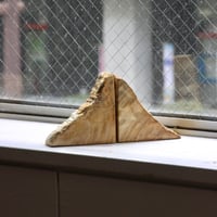 " OAK ” Petrified Wood Bookend - S #003
