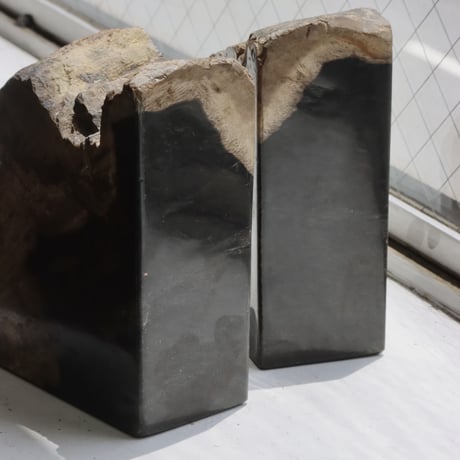 " OAK ” Petrified Wood Bookend - M #003