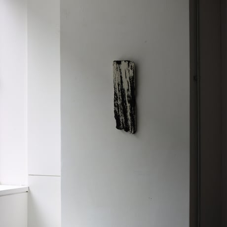" Daiki Tado " Nature or Nurture
