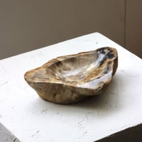 " OAK ” Petrified Wood Accessory Tray - M #405