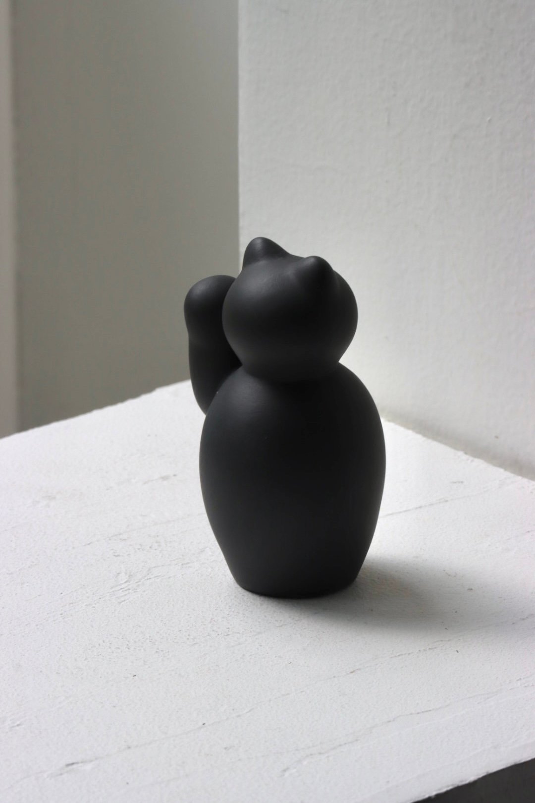 KIKUCHI SHUNJI / 菊池 俊治 