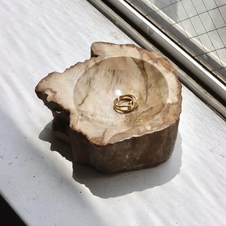 " OAK ” Petrified Wood Accessory Tray - S #421