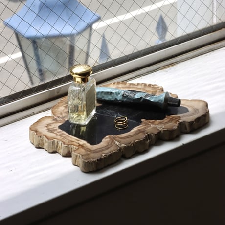 " OAK ” Petrified Wood Plate - M #101