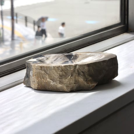 " OAK ” Petrified Wood Accessory Tray - M #445
