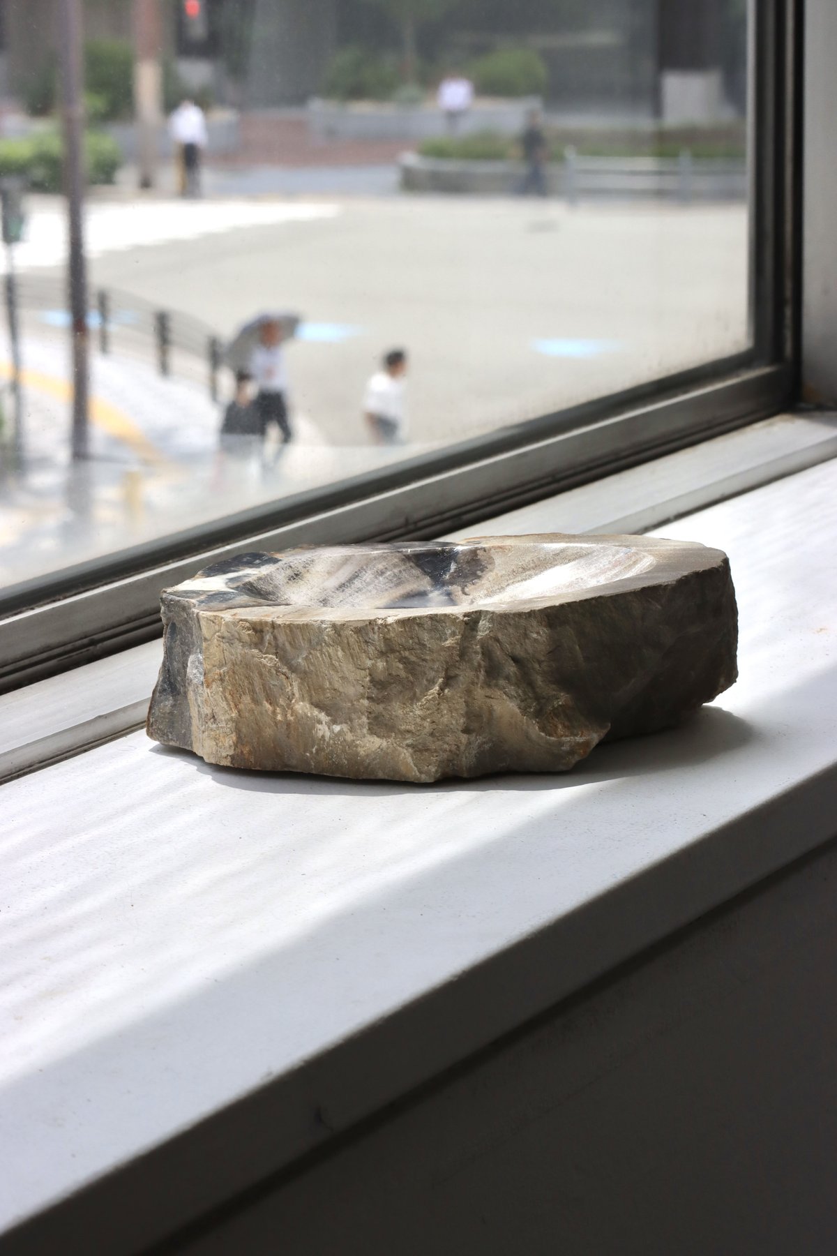 OAK ” Petrified Wood Accessory Tray - M #445
