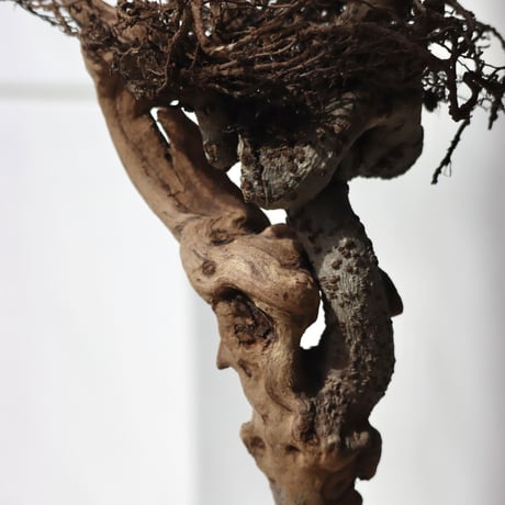 " KELEN OBJECT ” KON - L no.151