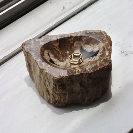 " OAK ” Petrified Wood Accessory Tray - S #439