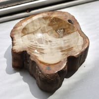 " OAK ” Petrified Wood Accessory Tray - S  #419