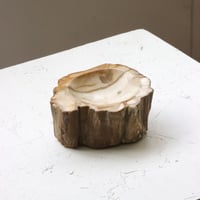 " OAK ” Petrified Wood Accessory Tray - S #435