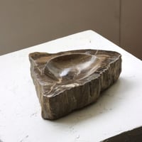 " OAK ” Petrified Wood Accessory Tray - M #416