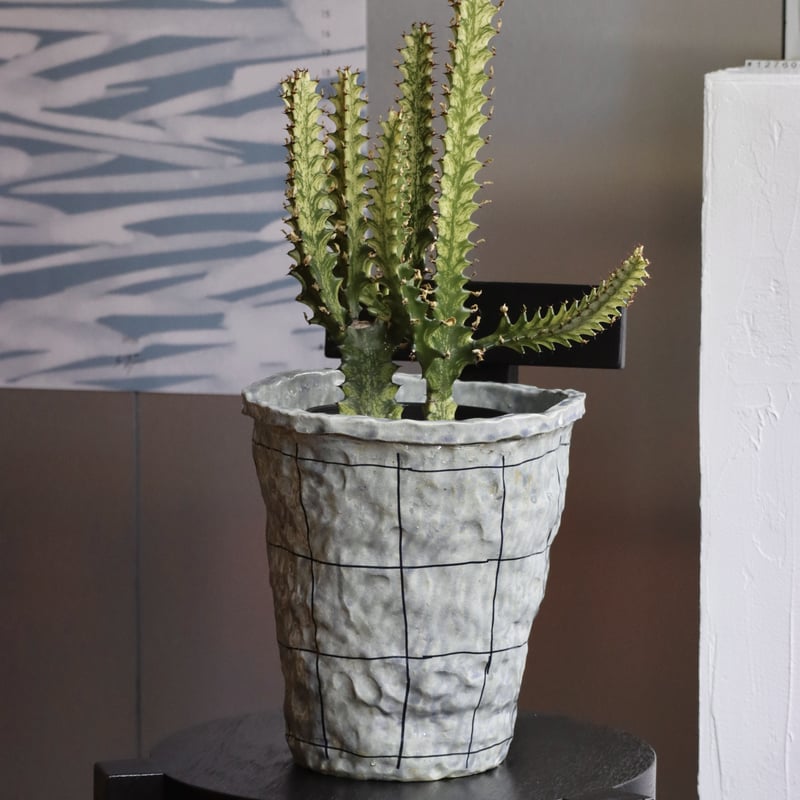 SHOKKI Planter 鉢 SHOKKI