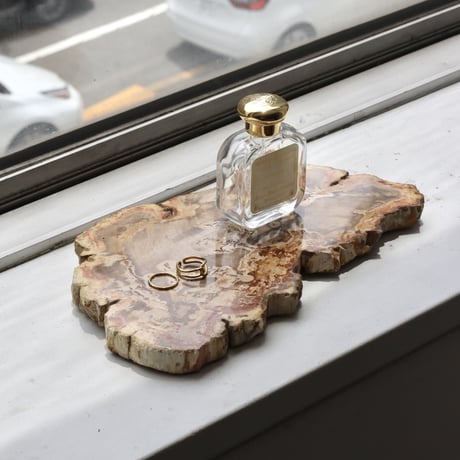 " OAK ” Petrified Wood Plate - S