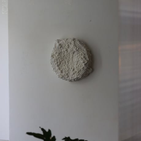 " Ryota Akiyama " Crack and Shrink