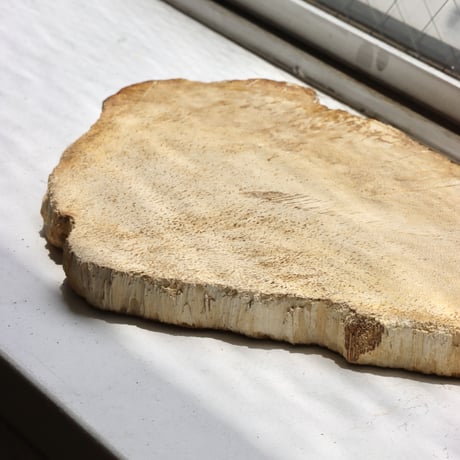 " OAK ” Petrified Wood Plate - S