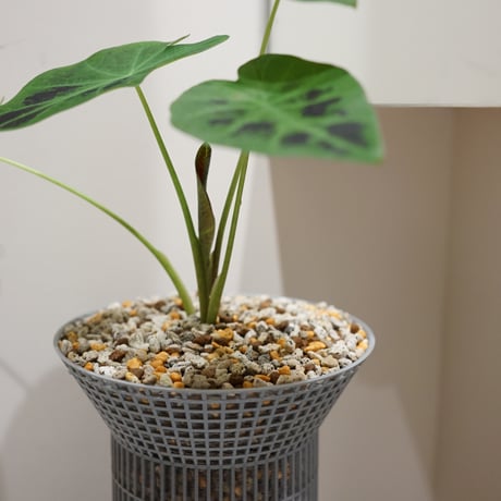 "RETAININGPOT" CC 7.6GO 15SO