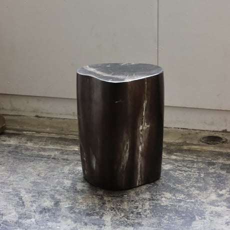 " OAK ” Petrified Wood Stool #001