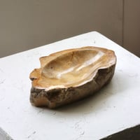 " OAK ” Petrified Wood Accessory Tray - M #406