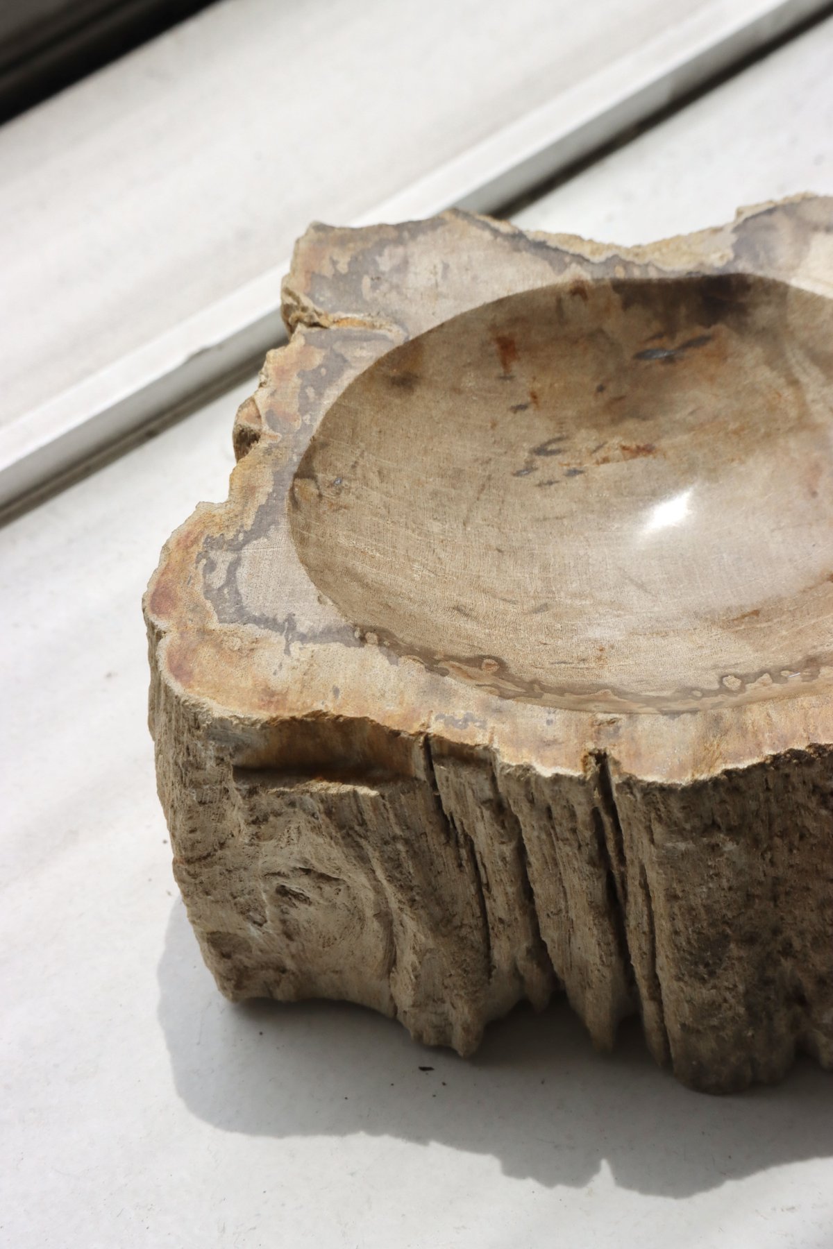 OAK ” Petrified Wood Accessory Tray - S #443