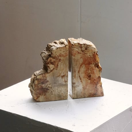 " OAK ” Petrified Wood Bookend - M #001