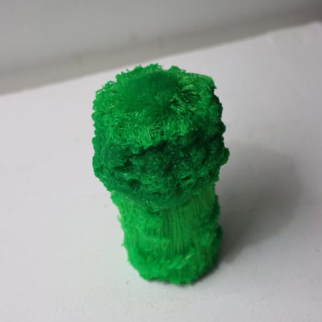 "Tact Inoue" Polybroccoli - S -  100g