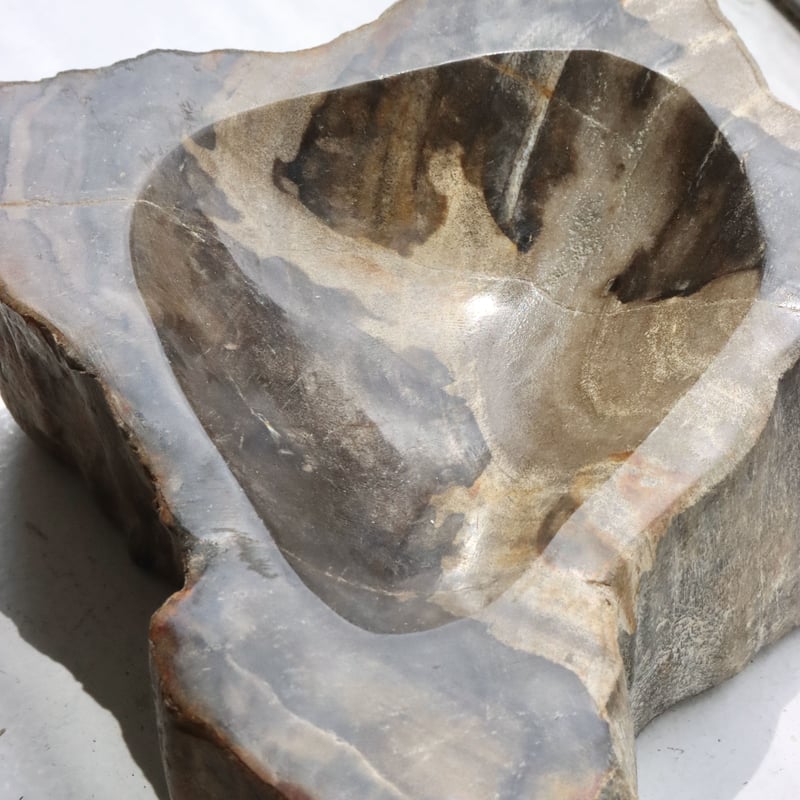OAK ” Petrified Wood Accessory Tray - S #423