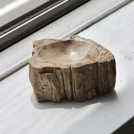 " OAK ” Petrified Wood Accessory Tray - S #443