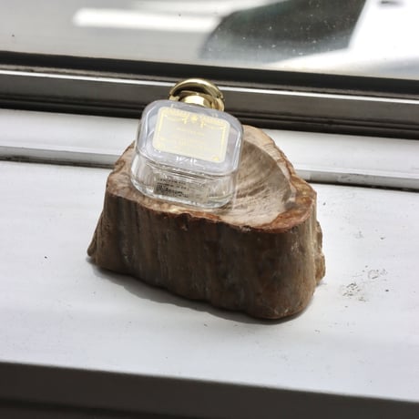 " OAK ” Petrified Wood Accessory Tray - S #444