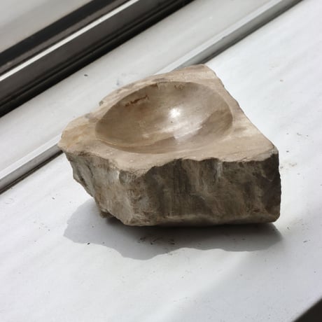 " OAK ” Petrified Wood Accessory Tray - S #441