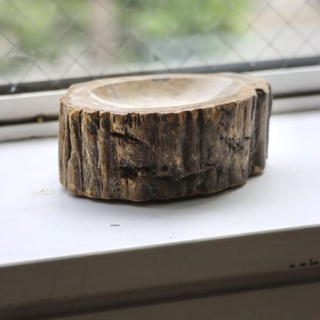 " OAK ” Petrified Wood Accessory Tray - S  #428