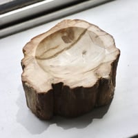 " OAK ” Petrified Wood Accessory Tray - #435