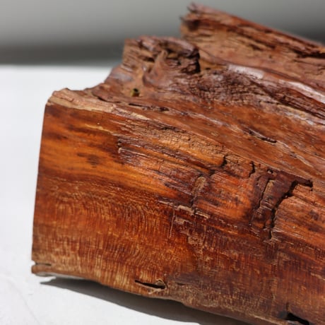 " TORINOKI FURNITURE " Wood Incense Holder