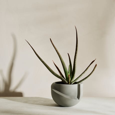 "Light&Ladder" VAYU ceramic tabletop planter - stone -