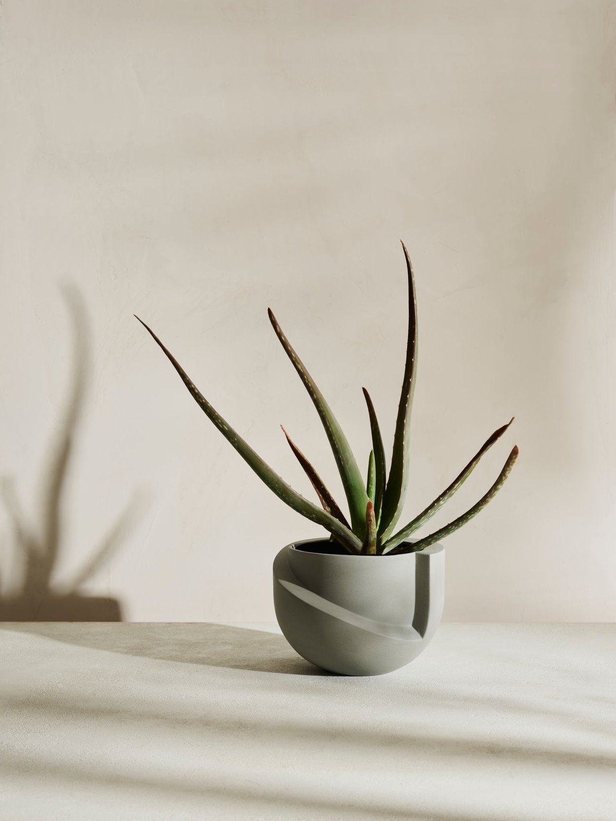 Light&Ladder VAYU planter 鉢 プランター Light&Ladder VAYU planter 鉢 プランター