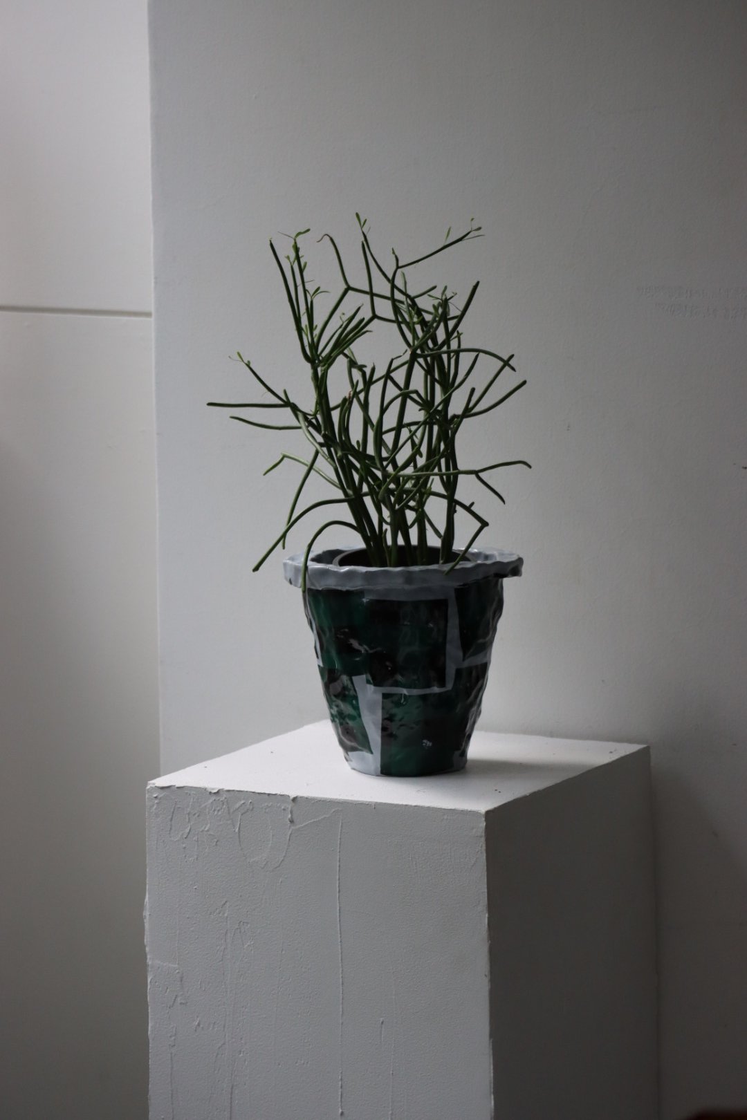 SHOKKI Planter 鉢 SHOKKI