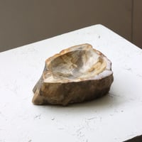 " OAK ” Petrified Wood Accessory Tray - S #429