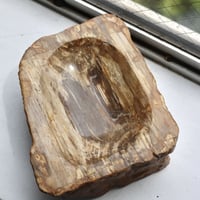 " OAK ” Petrified Wood Accessory Tray - M #412