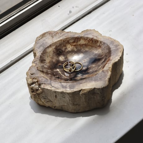 " OAK ” Petrified Wood Accessory Tray - S #446