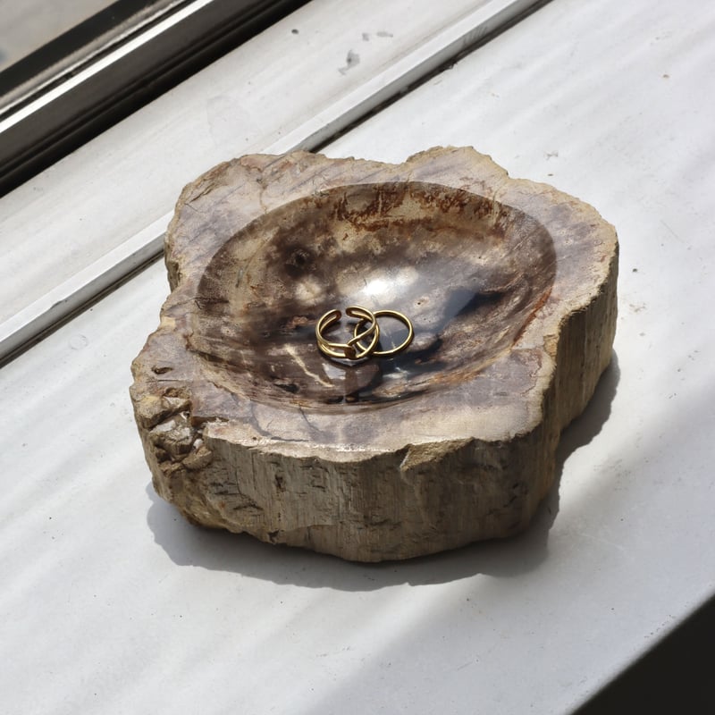 OAK ” Petrified Wood Accessory Tray - S #446