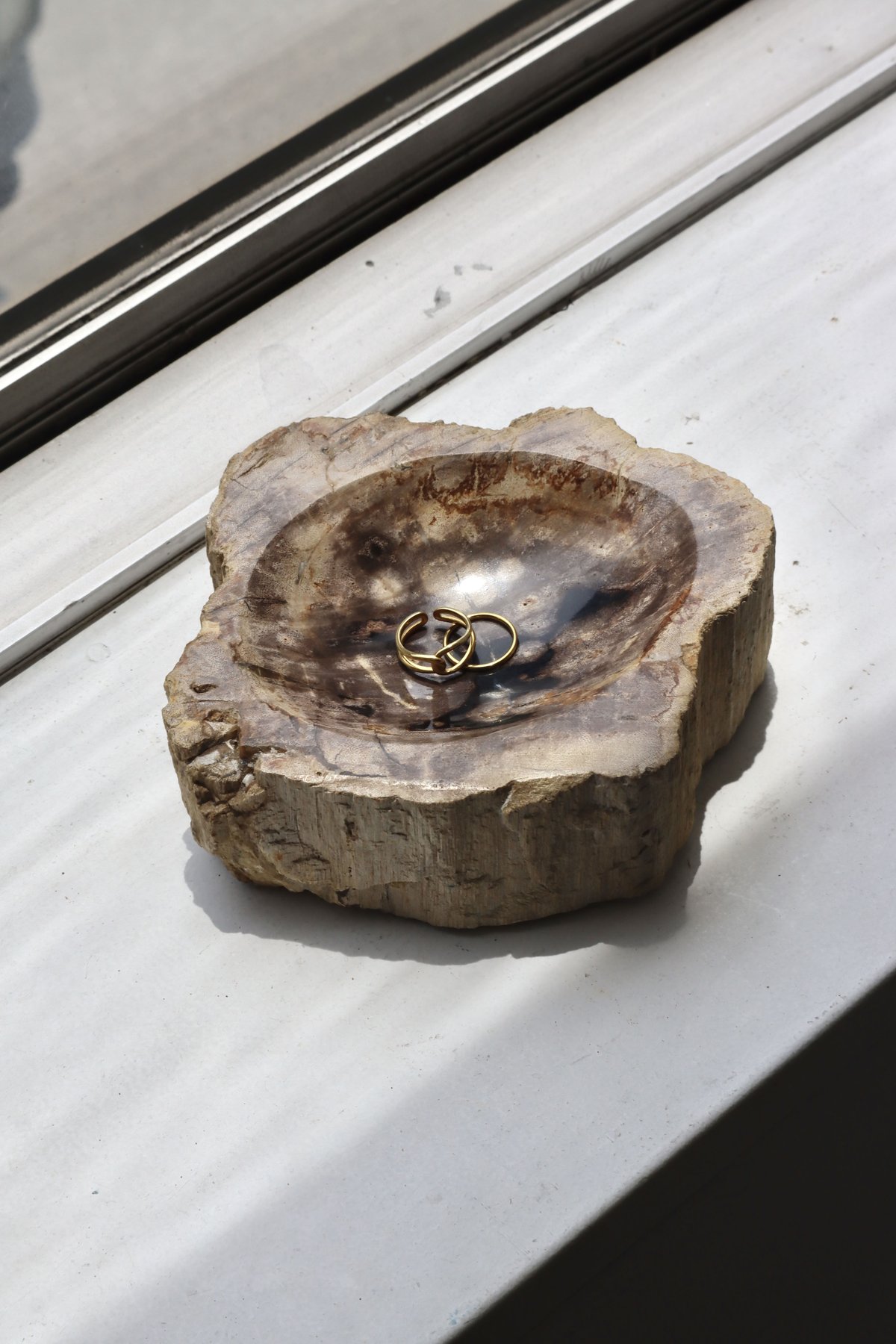 OAK ” Petrified Wood Accessory Tray - S #446