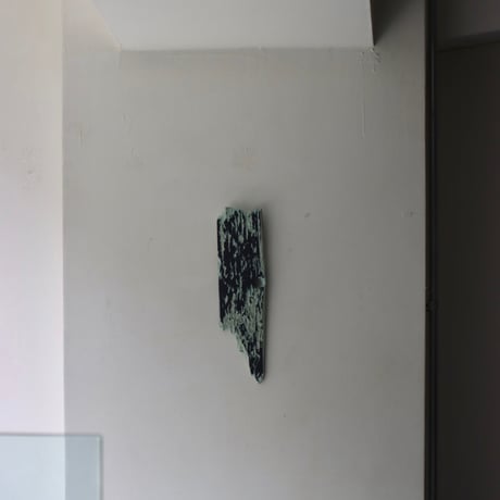 " Daiki Tado " Nature or Nurture