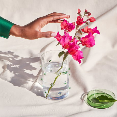 "OCTAEVO" Agave Glass Container Large