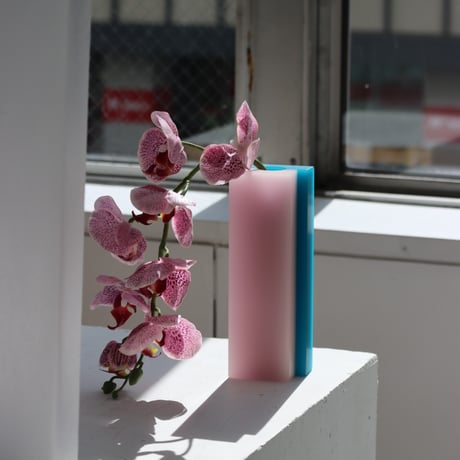 "dean toepfer" VASE VERSA  - pink / teal -