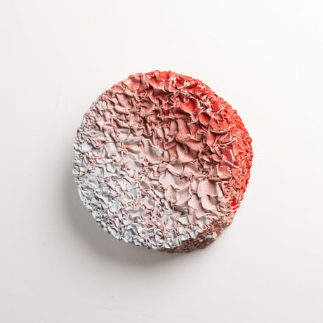 " Ryota Akiyama " Crack and Shrink